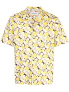 Rochambeau - Yellow