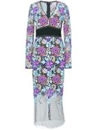 Dvf Diane Von Furstenberg Banded Overlay Lace Dress - Multicolour
