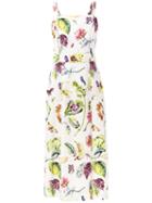 Adam Lippes - Botanical Print Dress - Women - Nylon/polyester/viscose - 8, White, Nylon/polyester/viscose
