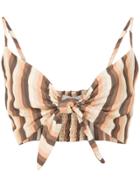 Amir Slama Striped Cropped Top - Brown