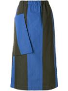 Sofie D'hoore Straight Striped Skirt - Blue