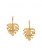 Aurelie Bidermann Leaf Earrings - Gold
