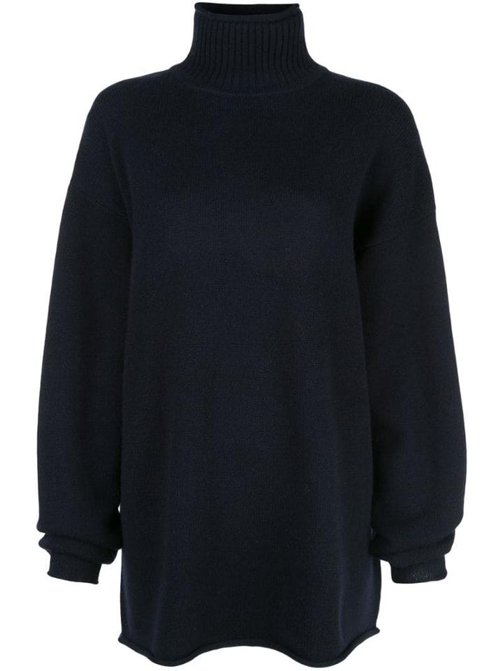 Extreme Cashmere Roll Neck Jumper - Blue