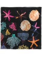 Dolce & Gabbana Coral Print Scarf - Black