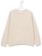 Andorine - Neutrals
