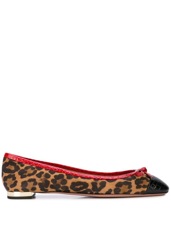 Aquazzura Leopard Print Ballerinas - Brown