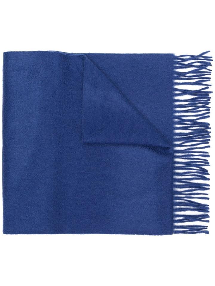 Begg & Co Fringed Edge Scarf - Blue