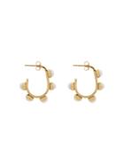 Cornelia Webb Gold Plated Freshwater Pearl Hoop Earrings - Metallic