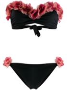 La Reveche Floral Ruffle Trim Bikini - Black