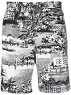 Msgm Tropical Printed Shorts - Black