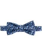 Fefè Print Bow Tie - Blue