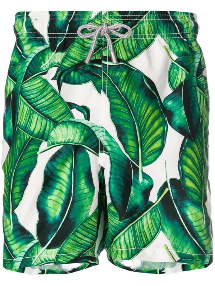 Mc2 Saint Barth Leaf Print Swim Shorts - Green