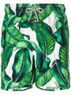 Mc2 Saint Barth Leaf Print Swim Shorts - Green