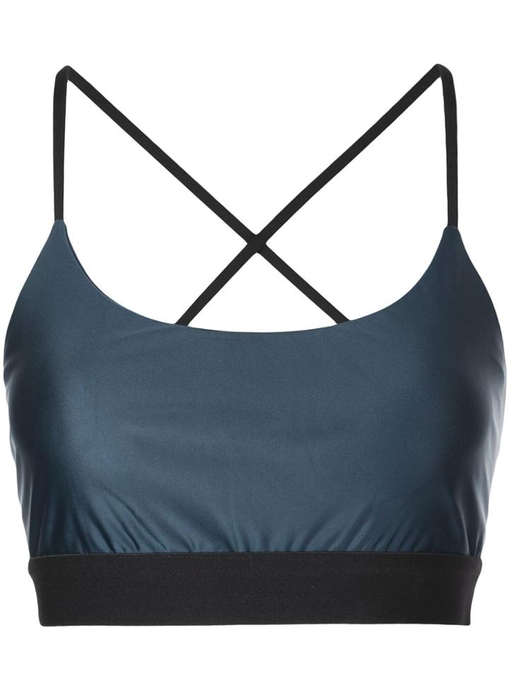 Koral Catcher Energy Sports Bra - Blue