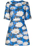 Dolce & Gabbana Floral Lurex Jacquard Dress - Blue
