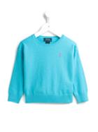 Ralph Lauren Kids Crew Neck Jumper, Girl's, Size: 8 Yrs, Blue