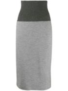 Fabiana Filippi High-waisted Skirt - Grey