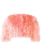 Alberta Ferretti Cropped Feather Jacket - Pink & Purple