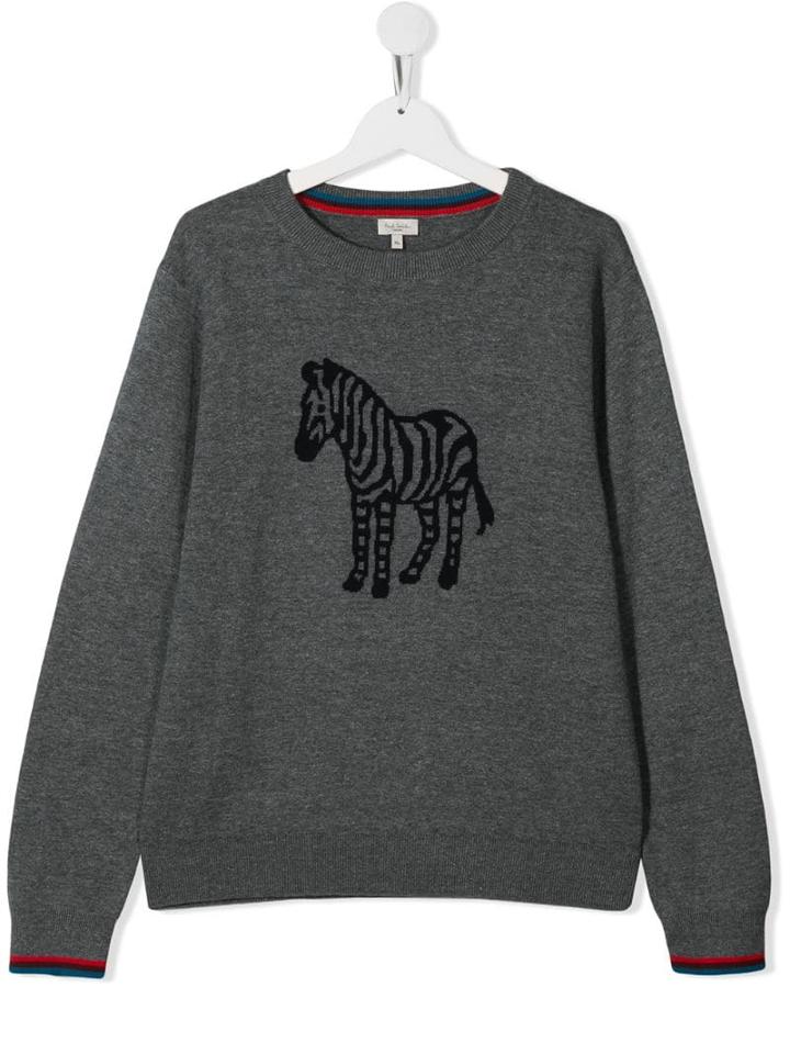 Paul Smith Junior Zebra Sweater - Grey