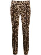 Dolce & Gabbana Leopard Print Cropped Jeans - Neutrals