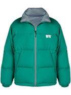 Used Future Used Future Dw301 Tl - Green