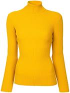 Milly Ribbed Roll Neck Top - Yellow & Orange