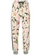 Dolce & Gabbana Floral Print Track Pants - Pink