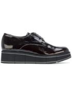 Paloma Barceló Lace Up Shoes - Black
