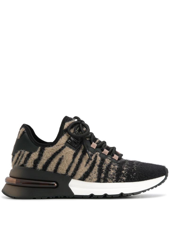 Ash Animal Print Ombre Sneakers - Black