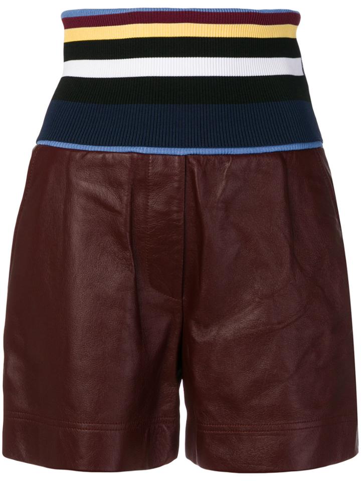 Sportmax Striped Elastic Waist Shorts - Red