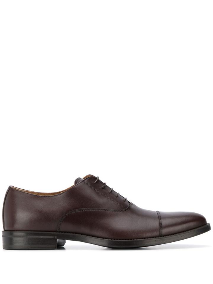 Scarosso Oxford Shoes - Brown