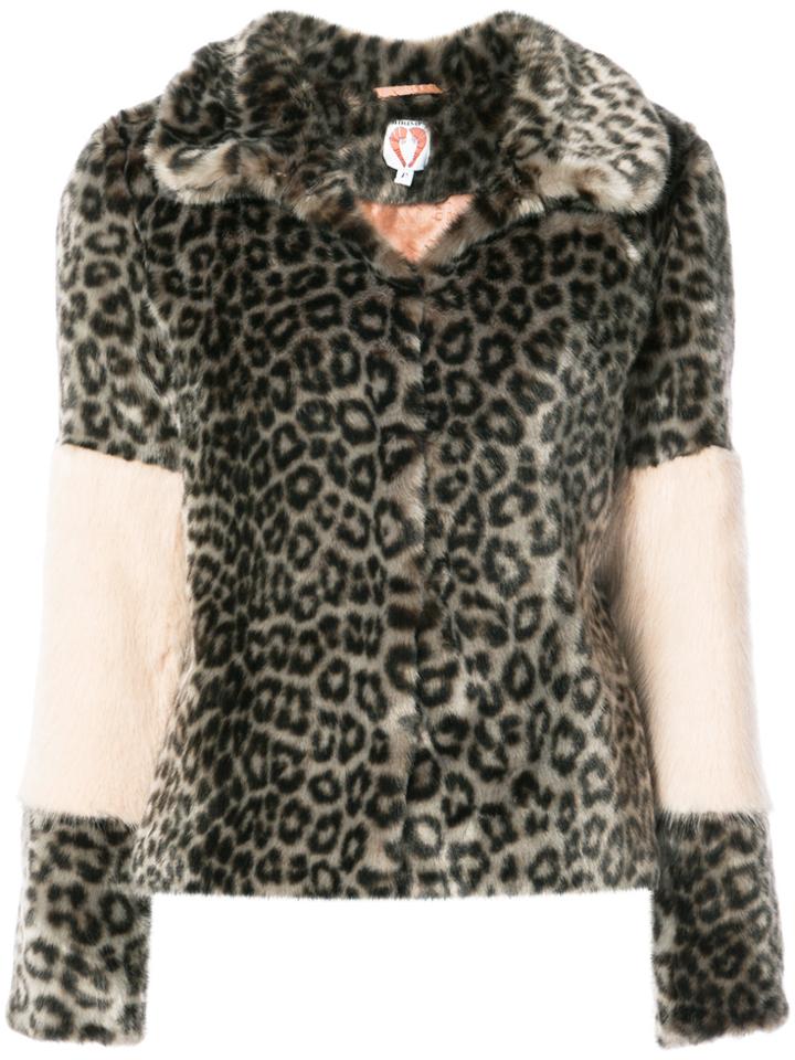 Shrimps Leopard Print Coat - Multicolour