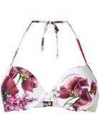 Dolce & Gabbana Floral Print Bikini Top - Pink