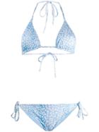 Rixo Lucia Bikini Set - Blue
