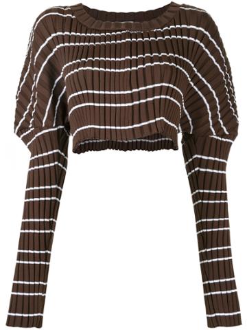 Mikio Sakabe Cropped Ribbed Jumper - Brown