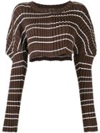 Mikio Sakabe Cropped Ribbed Jumper - Brown