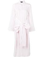 Federica Tosi Striped Shirt Dress - Pink