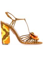 Aquazzura 'samba' Sandals - Brown