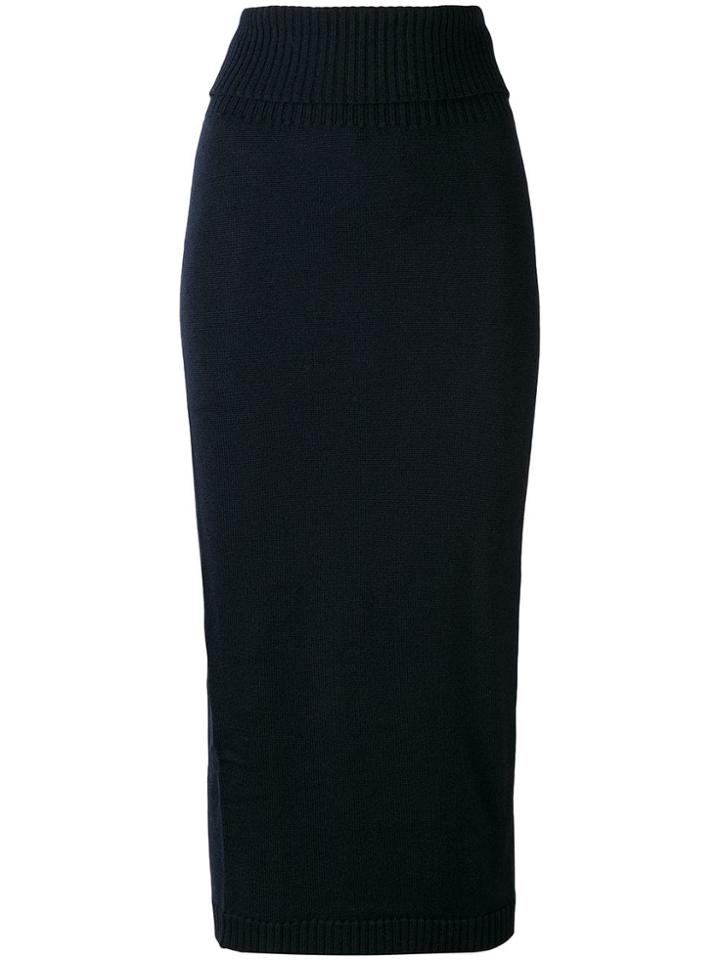 Max Mara Fitted Midi Skirt - Blue