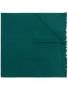 N.peal Pashmina Stole - Green
