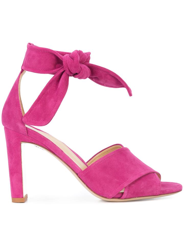 Marion Parke Lace-up Sandals - Pink & Purple