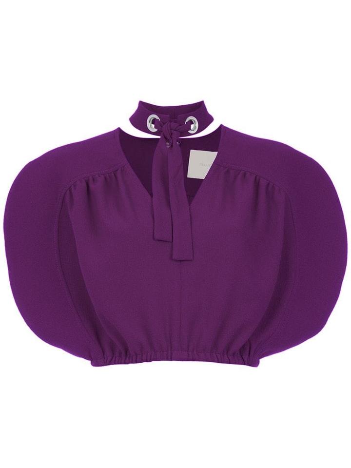 Framed Cracker Top Cropped - Purple