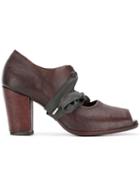 Sartori Gold - Brown