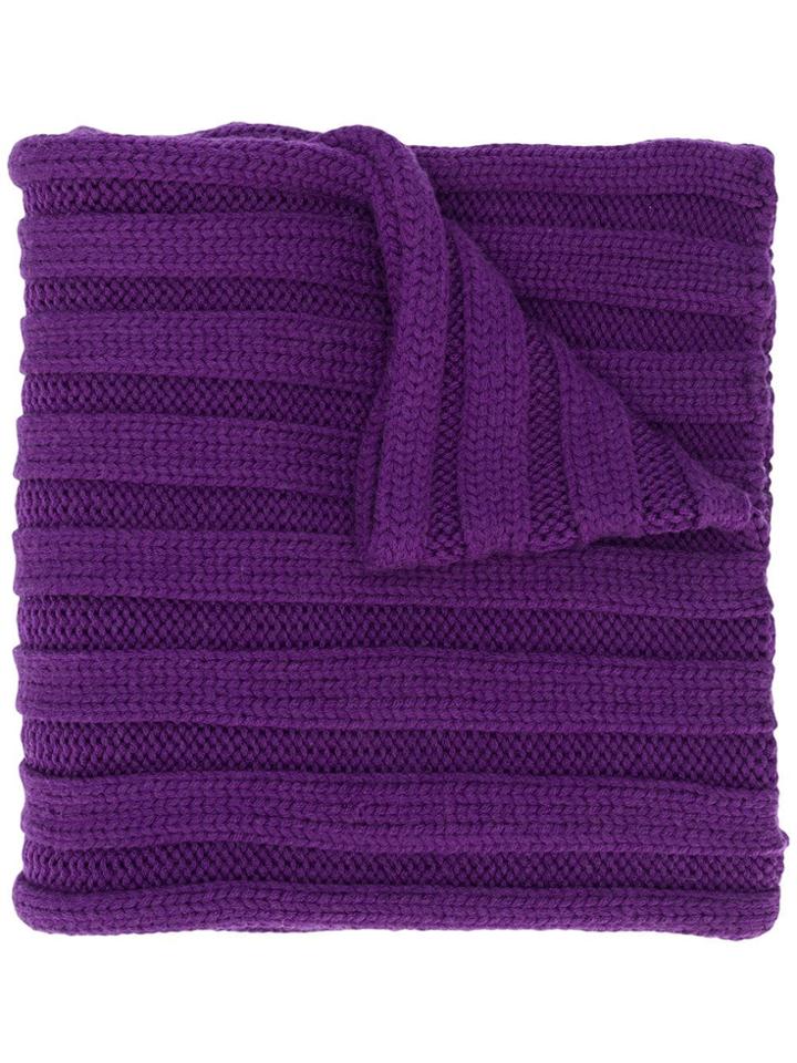 Escada Sport Ribbed Knit Scarf - Purple