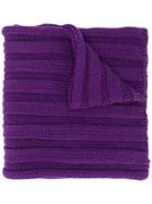 Escada Sport Ribbed Knit Scarf - Purple