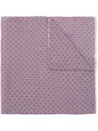 Pal Zileri Printed Fringed Scarf - Pink