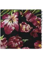 Dolce & Gabbana Tulip Print Scarf, Women's, Black, Modal/cashmere