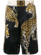 Dolce & Gabbana Leopard Print Track Shorts - Black