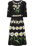 Dolce & Gabbana Daisy Print Dress, Women's, Size: 44, Black, Silk/spandex/elastane/rayon