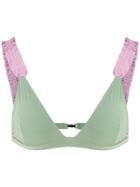 Clube Bossa Loretta Bikini Top - Green